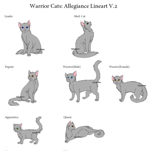 Featured image of post Mates Warrior Cat Lineart