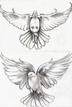 Featured image of post Realistic Dove Tattoo Outline